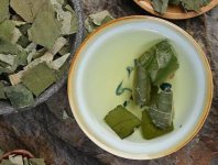 荷葉茶為什么叫短命茶？