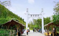 5月12日：徒步貢茶古道，天然氧吧，綠色之旅